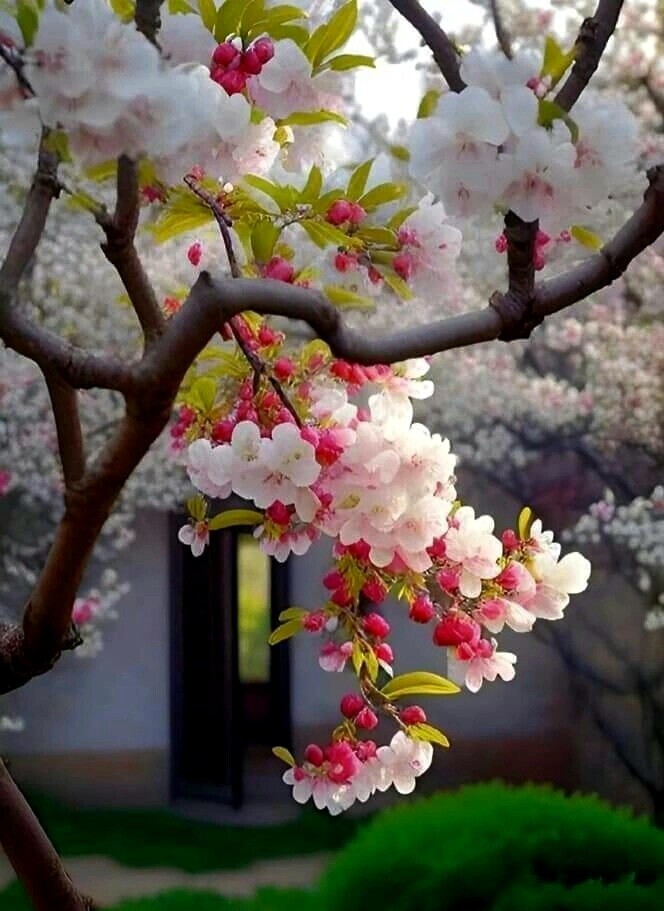 Весна нынче припозднилась... 